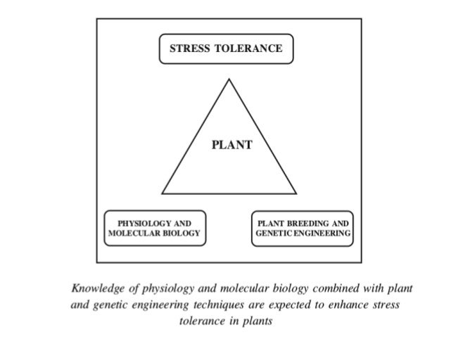 Physiology and Molecular Biology of Stress Tolerance in Plants